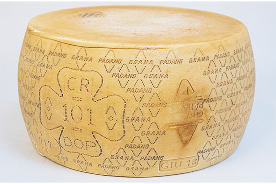 Grana Padano Riserva